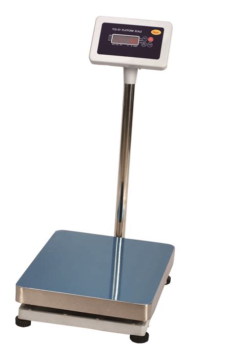 Electronic Scale 30kg 60kg 100kg 150kg 300kg Stainless Steel Waterproof