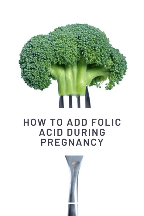 Taking Folic Acid During Pregnancy