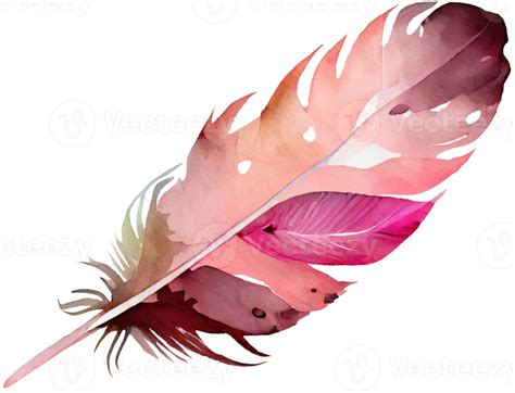 Free Colorful Feather Watercolor 21973284 PNG With Transparent Background