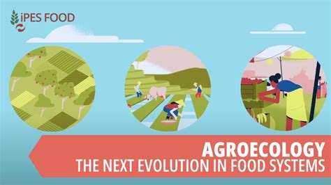 Agroecology The Next Evolution In Food Systems YouTube