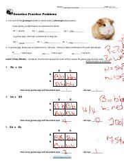 Biology Genetics Practice Problems Pdf Ayla Aijaz