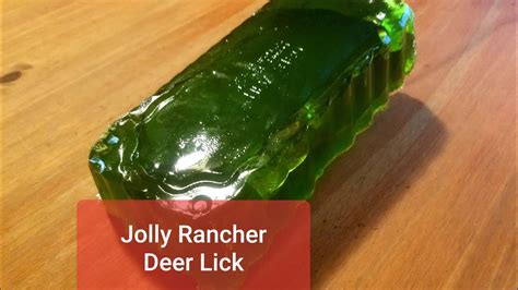 Giant Jolly Rancher Deer Bait Youtube