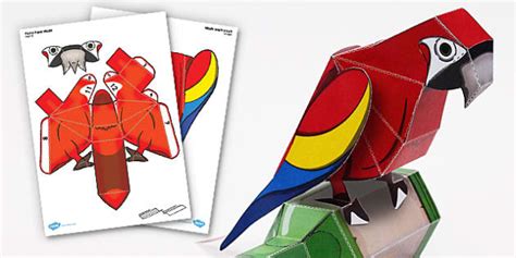 Parrot Art Paper Model Twinkl Primary Resources Twinkl