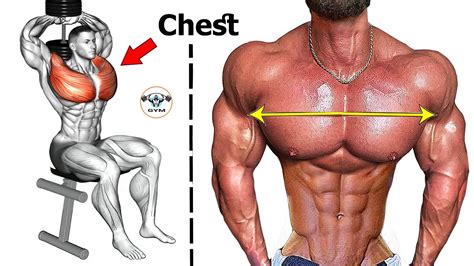 Chest Workout To Turn Your Chest Into A Perfect Chest Youtube