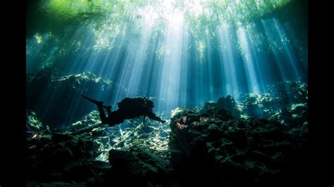 Explore More About Adventurous Cenote Diving - Atthefulton