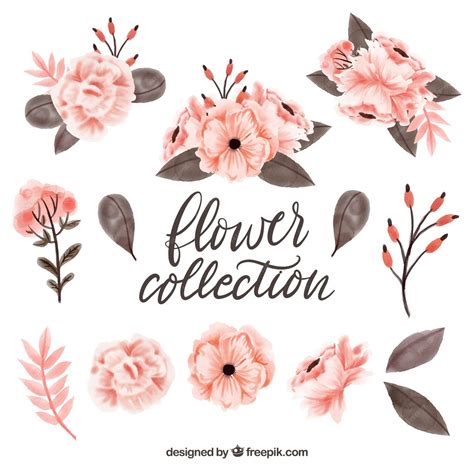 Free Vector Lovely Watercolor Floral Element Collection