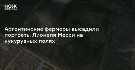 Аргентинские фермеры высадили портреты Лионеля Месси на кукурузных ...