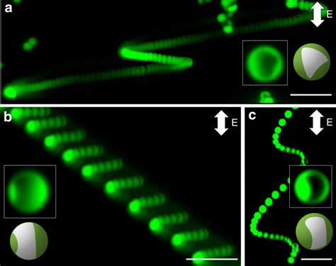 Role Of Patch Shape In Directing Particle Trajectory Ac Superimposed