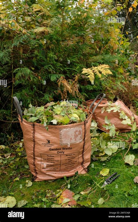 Sfalci Di Siepe Riciclati Immagini E Fotografie Stock Ad Alta