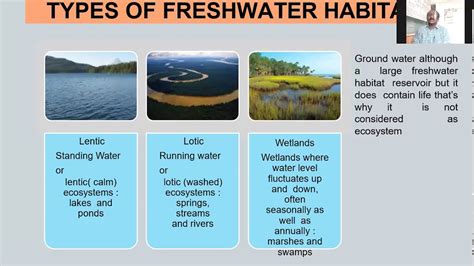 Freshwater Aquatic Ecosystem