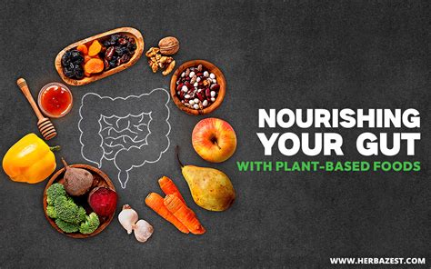 Nourishing Your Gut With Plant Based Foods Herbazest