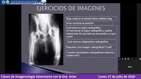 Fmvz Unam Imagenolog A Veterinaria Lunes De Julio Esqueleto