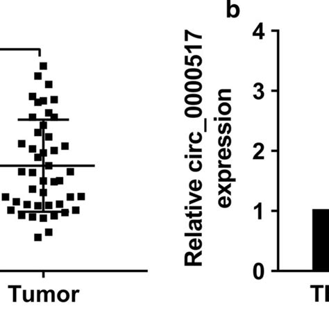 Circ 0000517 Expression In Hepatocellular Carcinoma A Circ 0000517