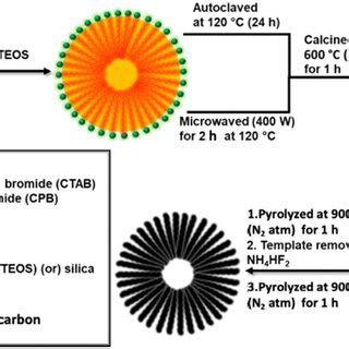 Schematic Diagram Of Dendritic Hollow N Doped Carbon Material Synthesis