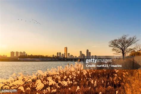 Han River Park Photos and Premium High Res Pictures - Getty Images