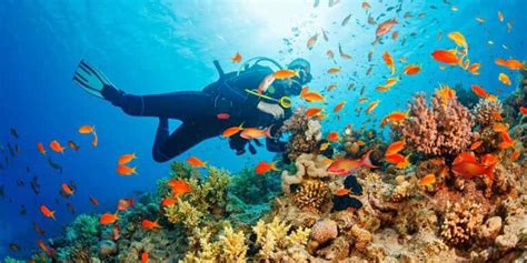 Best Places For Scuba Diving In India