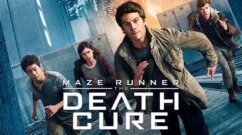 Maze Runner Trilogy [DVD Box Set] — Shopville