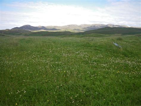 Endless Meadow Within The Caldera © C Michael Hogan Cc By Sa20