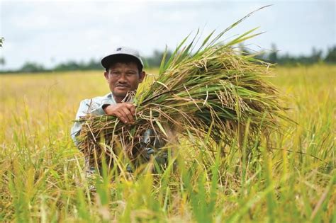 Diskaun Sehingga 50 Peratus Apa Tunggu Lagi Jom Serbu Jualan