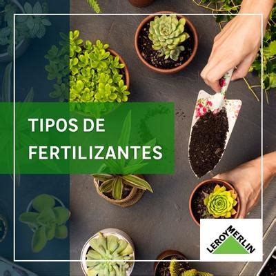 Tipos de fertilizantes mais usados veja quais são e como usar Blog