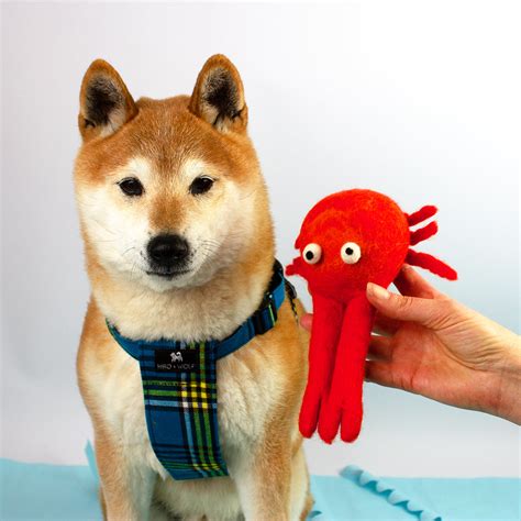 Clifford Crab Dog Toy – Hiro + Wolf