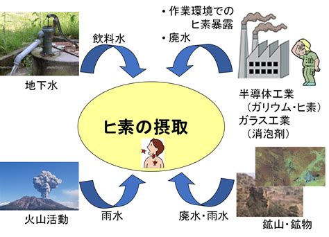 微生物機能を利用した環境浄化・修復に関する研究｜研究紹介｜宮崎大学 工学部