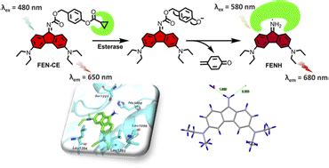 Construction Of A Novel Aminofluorene Based Ratiometric Near Infrared