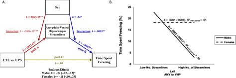 Early Life Stress Causes Sex Specific Changes In Adult Fronto Limbic