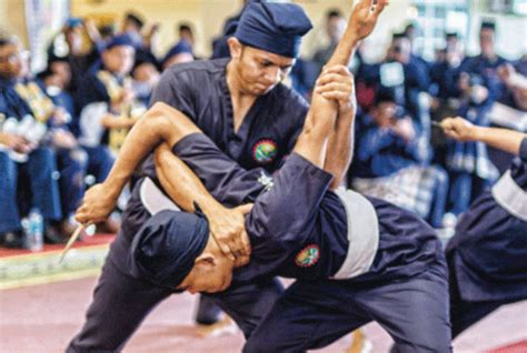 Buah Silat Cekak Silat Cekak Pusaka Ustaz Hanafi Pdf Corrine Braun