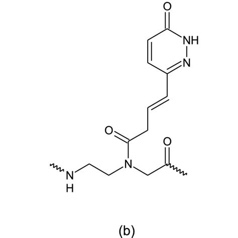 E Base Oxo Dihydropyridazine Pna Hoogsteen Strand Analogue