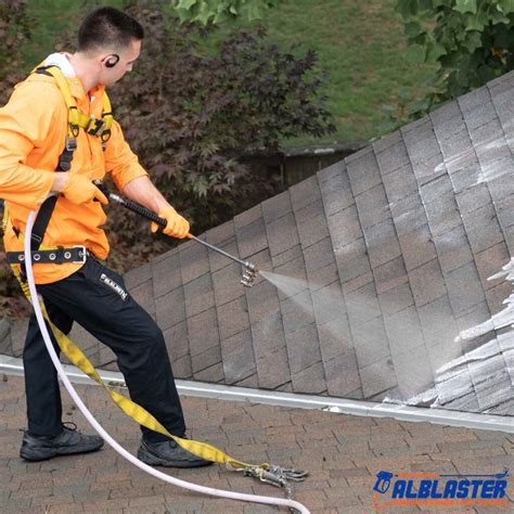 Surrey Strata 98 Ave Roof Cleaning — Alblaster Pressure Washing Soft Washing