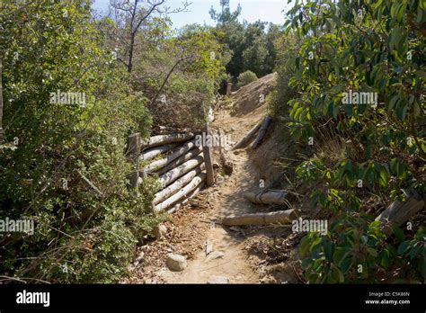 Trenches Gallipoli Hi Res Stock Photography And Images Alamy