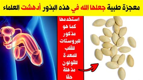 حبوب القرع لعلاج البروستاتا