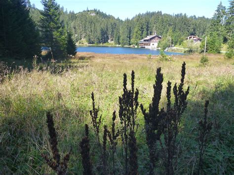 Bergtour Lechtal Zwischen Allg Uer Und Lechtaler Alpen