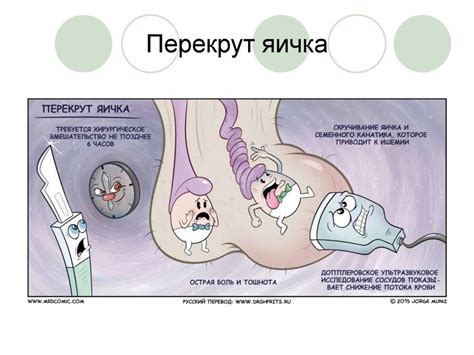 Неотложная радиология в урологии. Почечная колика - online presentation