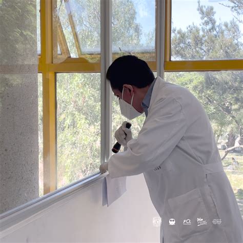 Por Supuesta Plaga De Chinches Facultad De Qu Mica Adelanta Fumigaci N