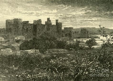 Conway Castle By Print Collector