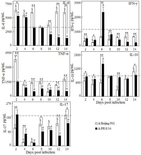 Determination Of Cytokine Levels In The Lungs Of Mice Per Time Point