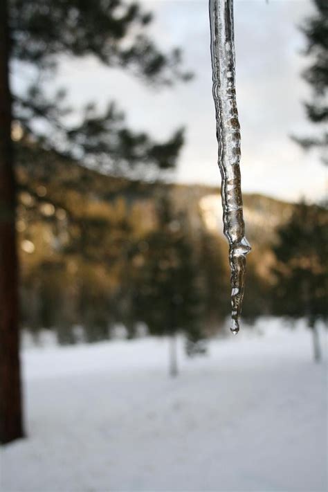 Ice Sickle - Stock Photos - CreateBlog