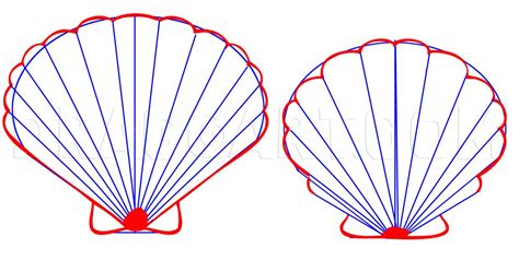 How To Draw A Seashell Seashells Step By Step Drawing Guide By Dawn