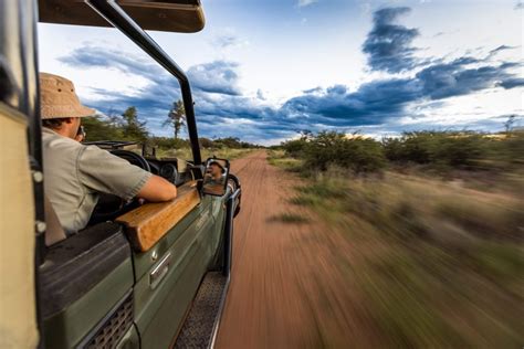 6 Thrilling Cape Town Safari Tours For Families (And Why You'll Love ...