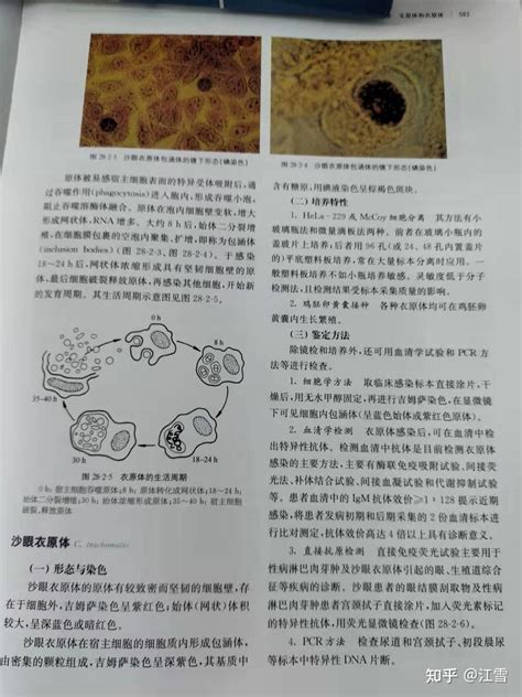 临床微生物学诊断与图解（第四版）下册支原体衣原体580至584页 知乎