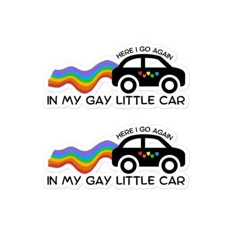 Funny Gay Car Sticker 2 Pack Bumper Graphic Mirror Cool Humor T For