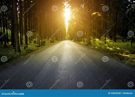 Wood Road Stock Photo Image Of Grass Background Foliage 33843548