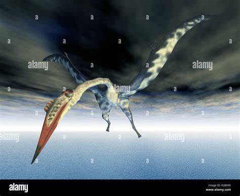 Quetzalcoatlus Hi Res Stock Photography And Images Alamy