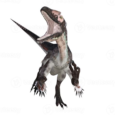 Utahraptor Dinosaur Isolated 3d Render 21013843 Png