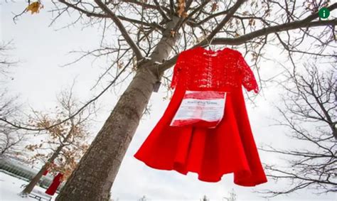 What You Need To Know About Missing And Murdered Indigenous Women And Girls Missing People