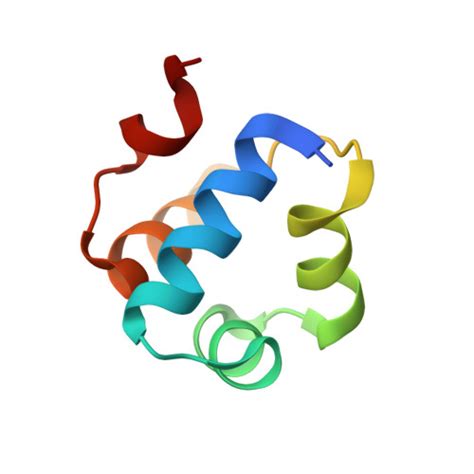 Rcsb Pdb T U Structure Of E Coli Ms Caph N Terminal Domain