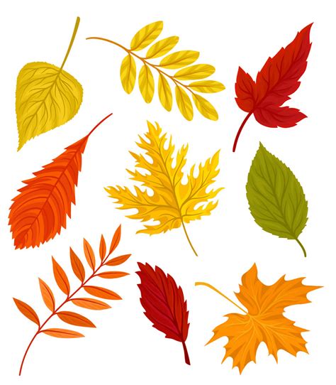 Fall Leaves clipart png free - Clipart World