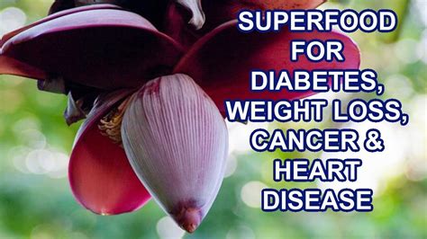 Banana Flower The Superfood For Diabetes Weight Loss Cancer And Heart Disease Youtube